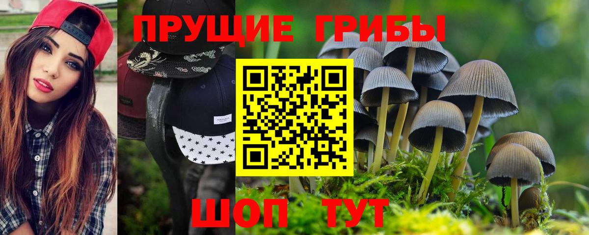 Юрга  Псилоцибиновые грибы мухоморы  купить   Вход с VPN 