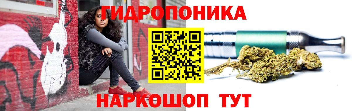 Каннабис гибрид Юрга
